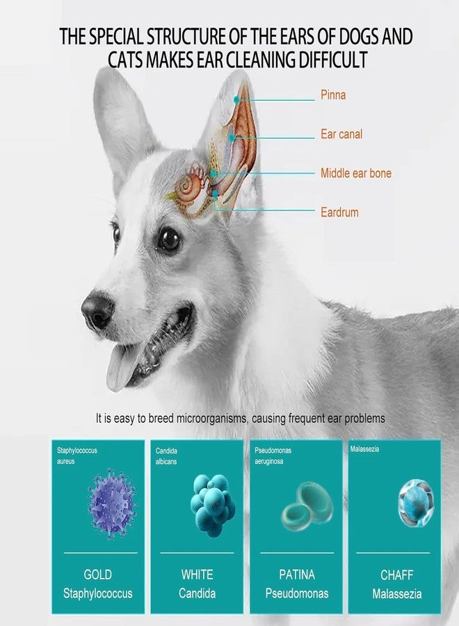 VALUEVIBES مناديل تنظيف الأذن والأسنان للكلاب | مناديل تنظيف الأذن والعناية بالفم للحيوانات الأليفة | مناديل تنظيف ناعمة وسميكة للاستخدام مرة واحدة للكلاب (50 قطعة) - Image 5